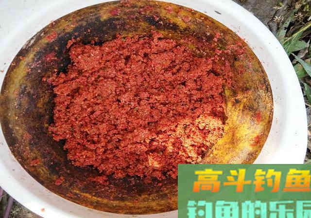 同样的鱼塘，同样的饵料，同样的钓法，为何渔获不同