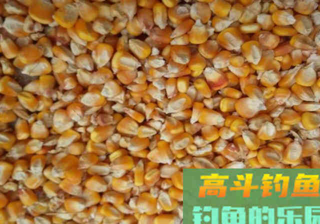30分钟就能做出窝料来，10斤料成本20