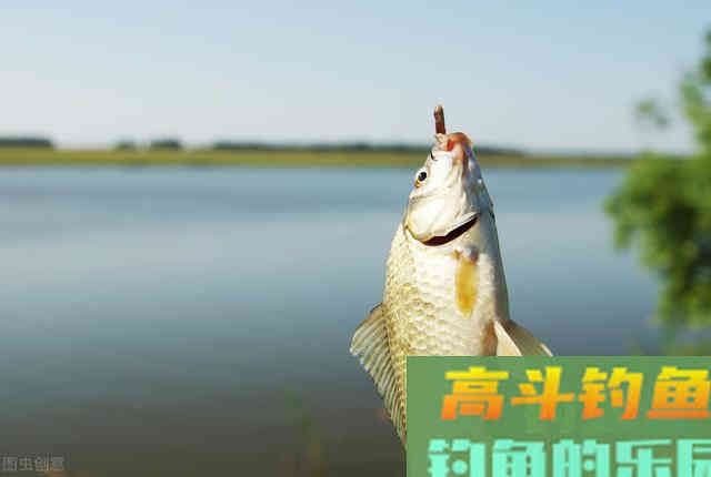 新手才会用蚯蚓钓鱼？蚯蚓新玩法反击，让你高攀不起