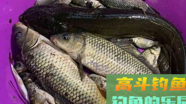 小寒过后如何作钓？老钓友说的这几点你要知道