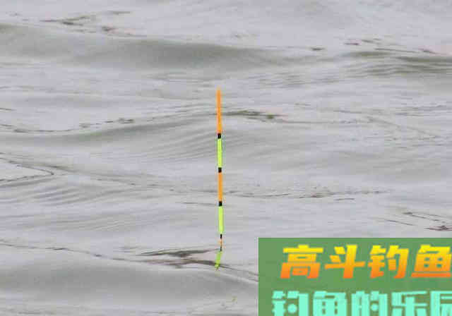 钓鱼千万不要跟新手抬杠，因为根本抬不住