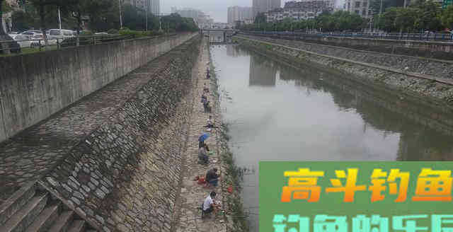 各种钓技满天飞！在钓鱼佬面前，鱼儿没有一点隐私吗