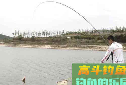 是什么决定了钓鱼隐藏定律