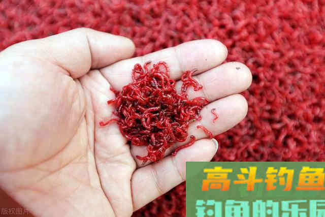 别再迷信小药，沉迷于味型了