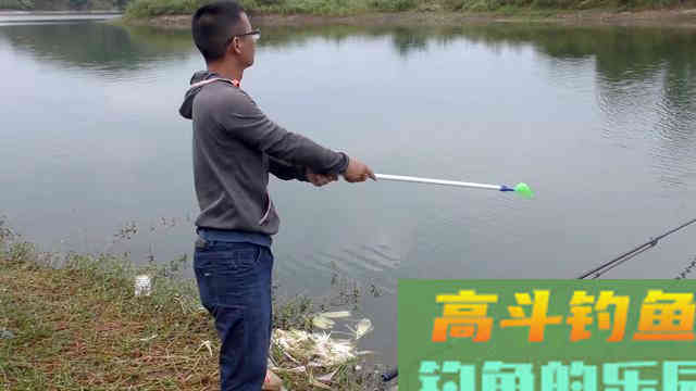野钓新手的烦恼：鱼吃饱了窝料不吃饵料