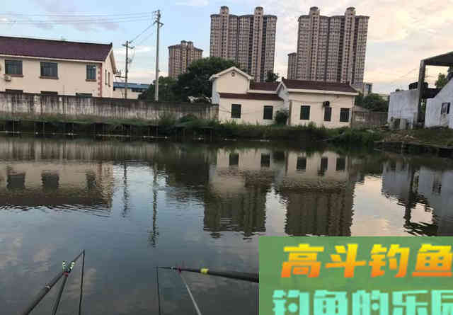 这窝料既能避小鱼又能诱大鱼，野钓打窝刚刚好