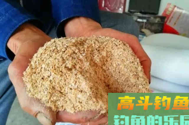 秋钓鲢鳙，还在费钱买饵料？别扯了