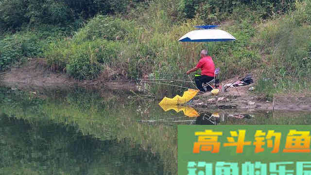 新手钓鱼遇到这五种钓点千万别错过，个个都是鱼窝
