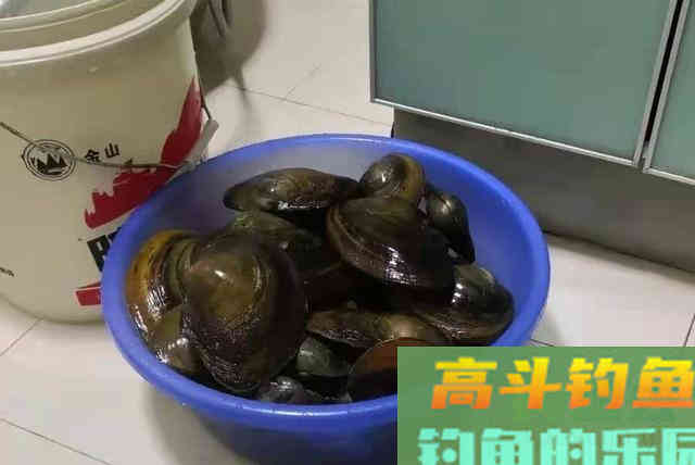 这些饵才是专攻鲤鱼草鱼的好家伙