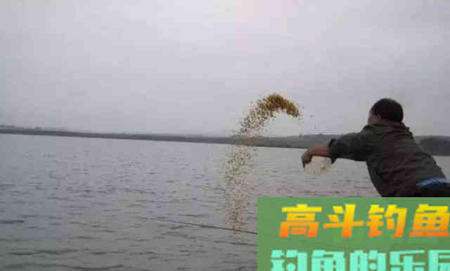 鱼不吃钩一定是饵料味型有问题；鱼：我只是没胃口
