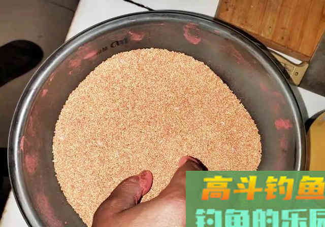 虫咬的小米不要扔，拿来做成酒米