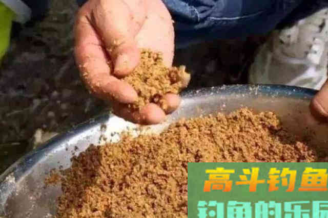 冬钓再难，只要我有这饵料用法，一天不钓憋得慌