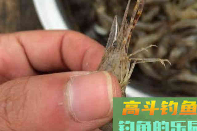 水里暗藏了这3种尿性饵，省钱又实用