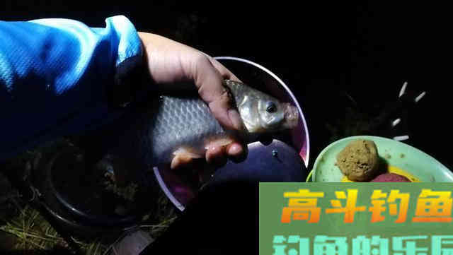 老钓友告诉你：记住这几招，浅水一样钓大鱼