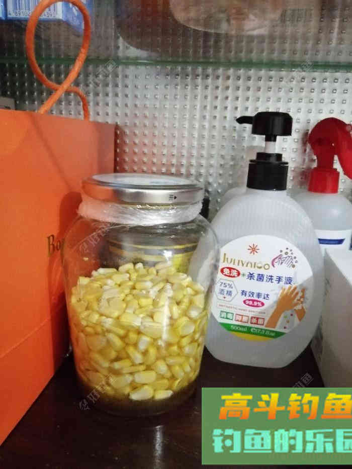 自制天然素饵（全集）钓鱼效果不错