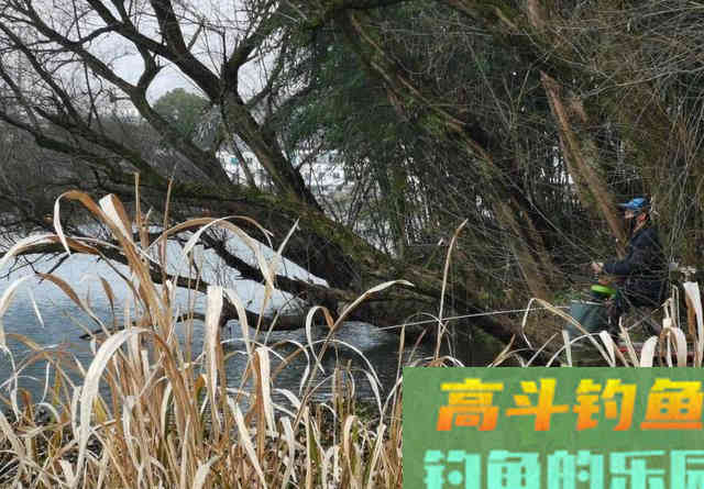 电过的地方，短时间作钓，只有2种对策方可一试