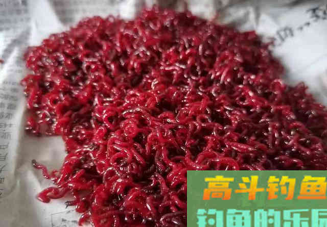 盘点6种重口味饵料，看起来恶心但鱼儿却十分喜爱