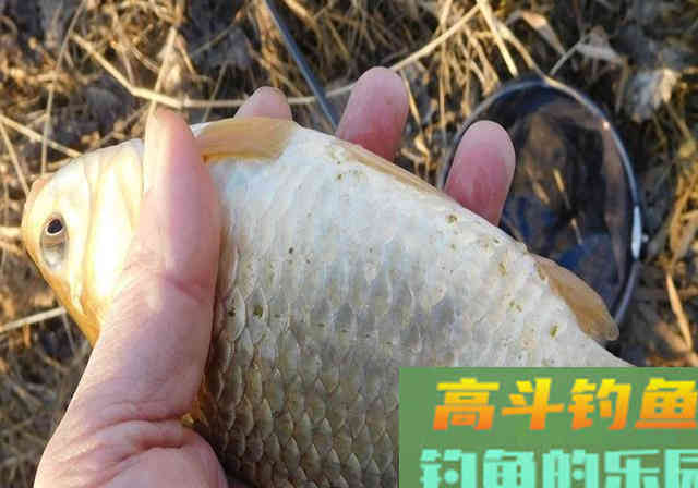 钓不到鱼，除了自然因素外，主要原因还是钓友