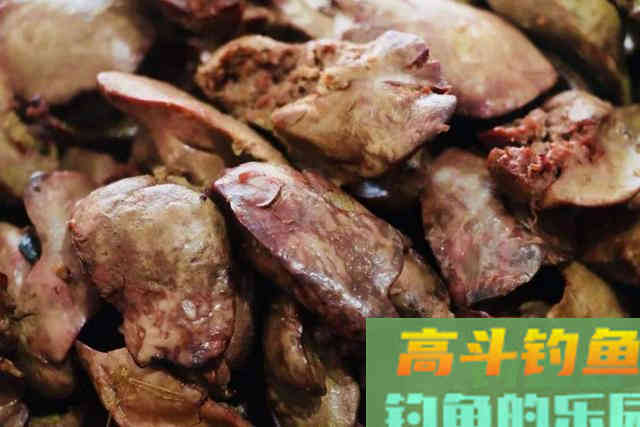 鸡肝钓鱼，只要这样用，钓肉食鱼，一钓一个准