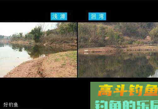 化氏黑坑盛宴饵料使用方法感受，钓友实测