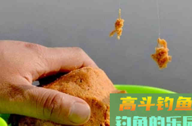 不是鱼不吃饵，只因它学会偷袭，按我说的做