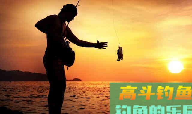 如何合理、有效的搭配鱼饵？科学用饵