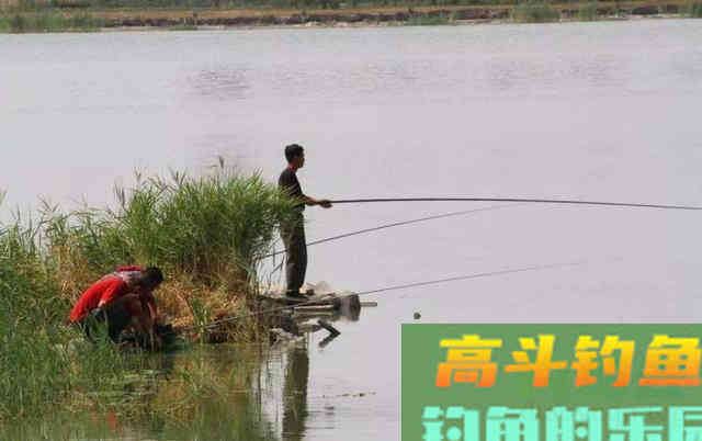 逗钓的五种常见手法，会三种就是老鸟了