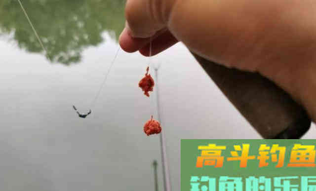 如何合理、有效的搭配鱼饵？科学用饵
