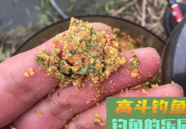 用老三样钓不到鲤鱼，需要多加一种饵