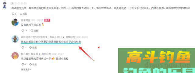 压缩饼干打窝是交智商税吗？钓鱼人实测，水下镜头记录全过程