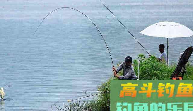 秋冬用蚯蚓钓鱼的技巧方法
