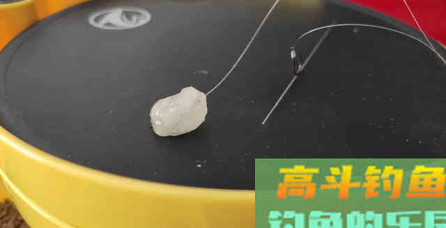 曾经被禁用的饵料如今却依然有人在用