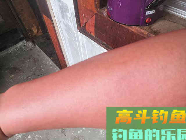 鱼钩小和空杆率关系不大？老钓友用实际经历打脸