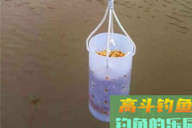 自从饵料加了这玩意，大板鲫不想上钩都挺难