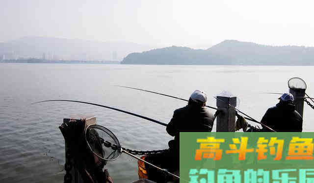 浮漂上顶，提竿却没有鱼，问题出在这里