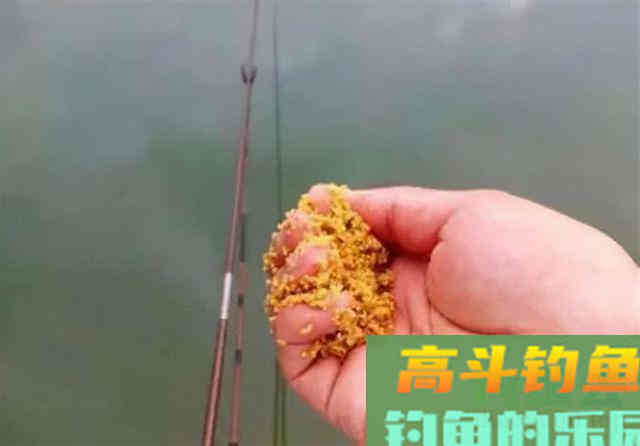 开饵配饵五个原则，开饵真的一点也不难
