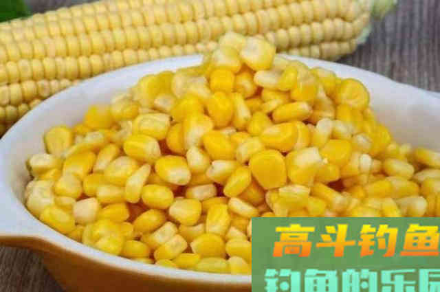 钓草鱼，换用这种打窝诀窍，刚下钩就直接黑漂