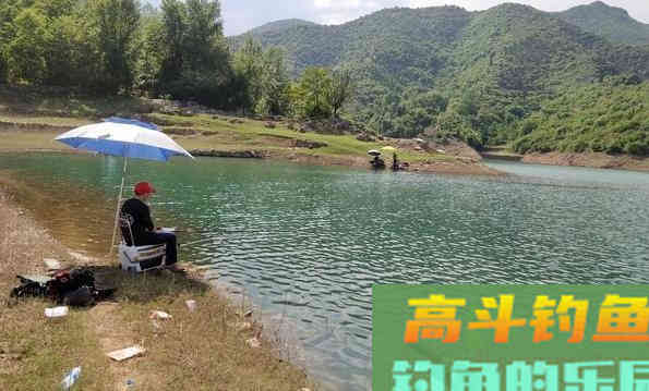 有鱼没口怎么办？别着急，找准原因才能解决问题