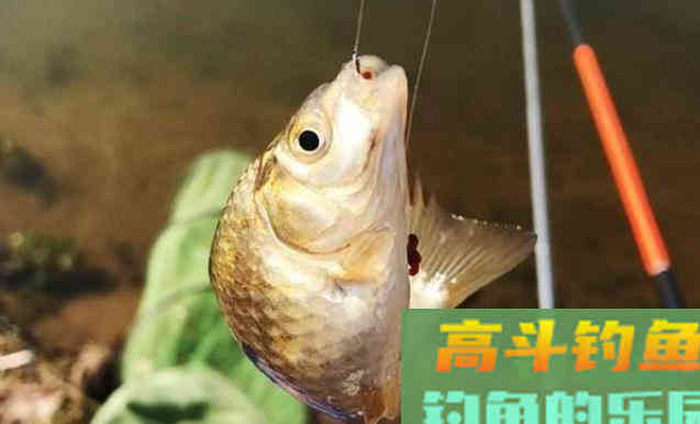 为什么会有各种各样的漂相？一篇文章说明白