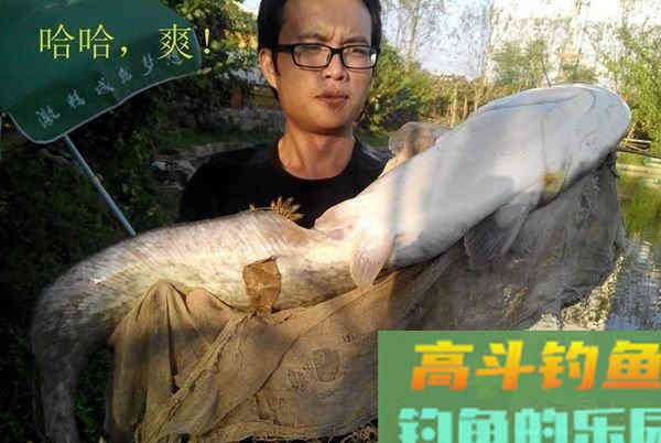 黑坑鱼塘配饵技巧（附老鬼丸九和化氏饵料配方）