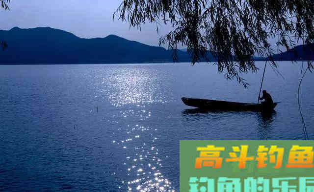 是什么决定了钓鱼隐藏定律