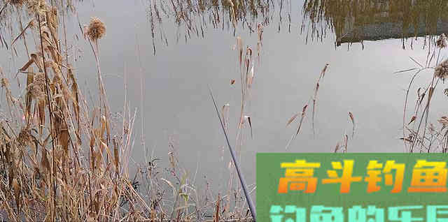 搞明白鱼群上浮的诱因，上浮的鱼群，其实也不难钓