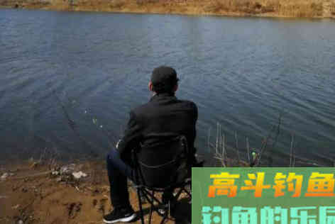 浮漂有动作后，要在什么时间提竿呢
