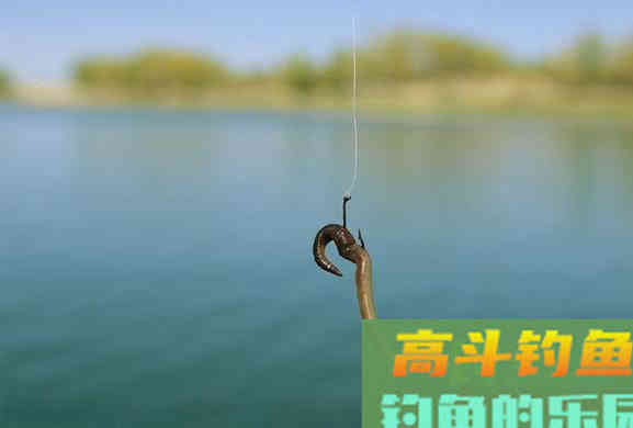 同样都是用蚯蚓，为何有人连竿连到手软，有人颗粒无收