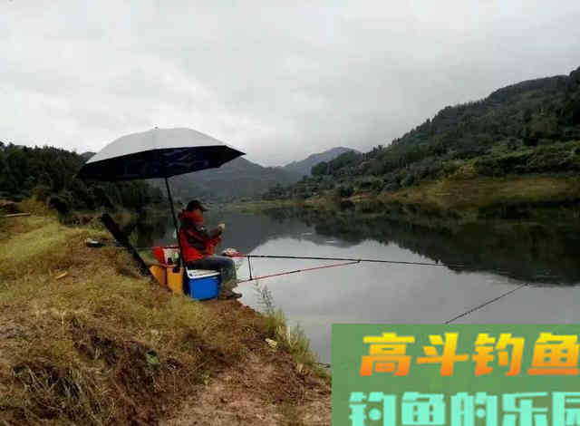 吃透这几句话，野钓时的渔获至少能多上三五条