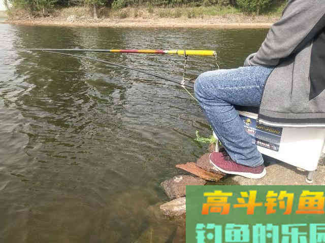注意8个细节，用好玉米粒钓浮，堪称草鱼、翘嘴的克星