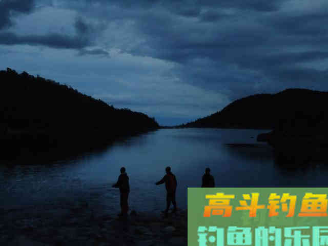 鱼口轻时，浮标信号变弱，钓友们该如何抓住这种信号呢