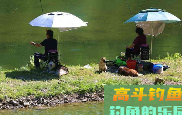 打一个窝，还是多个窝？这里给你讲明白