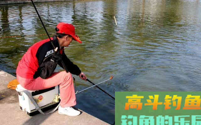 这些好吃的水果，用来钓鱼，鱼也喜欢