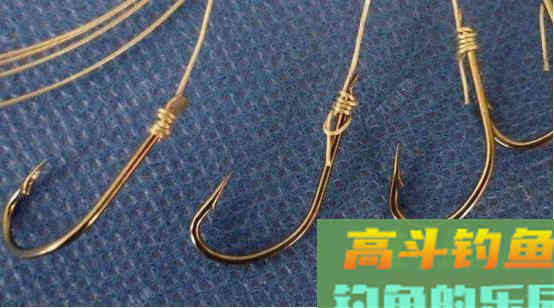 总是丢鱼？需要注意以下几点